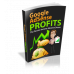 Google Adsense Profits II - PDF Ebook